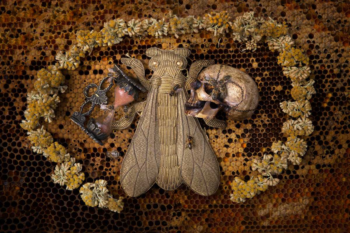 imperial bee timeshrine